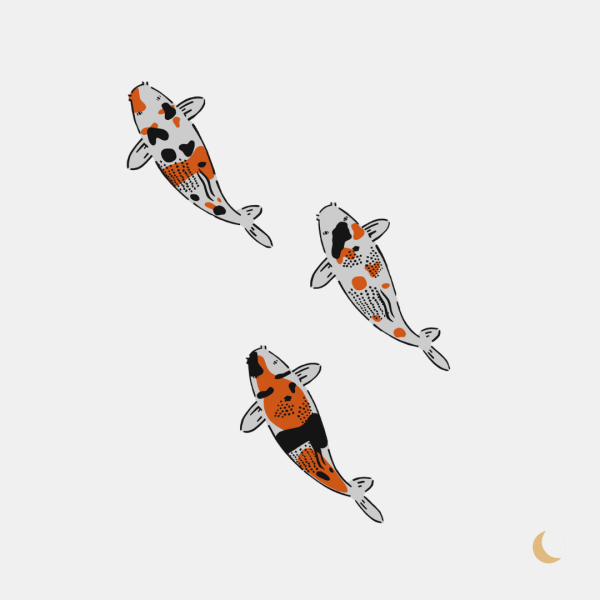 Wall Art decorativa "Koi" - immagine 2