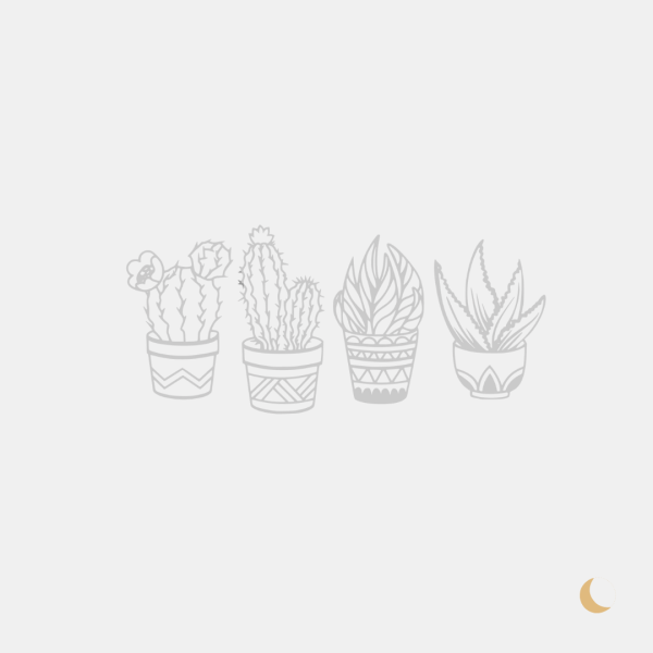 Wall Art decorativa "Potted Plants" - immagine 5