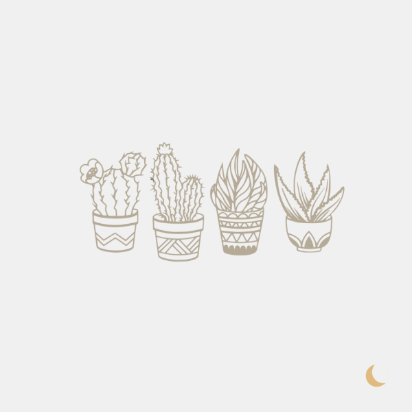Wall Art decorativa "Potted Plants" - immagine 4