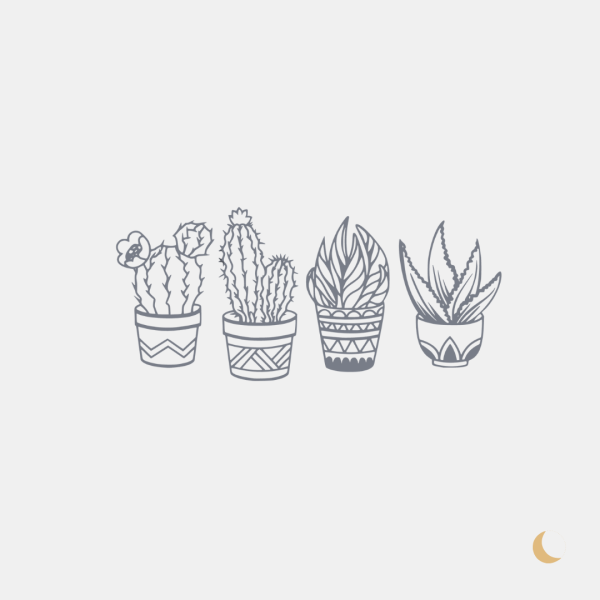 Wall Art decorativa "Potted Plants" - immagine 3